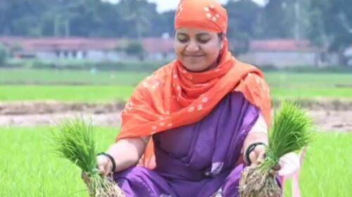 VIDEO NEWS : मंत्री बनीं खेतिहर – लक्ष्मी राजवाड़े ने लगाई रोपा