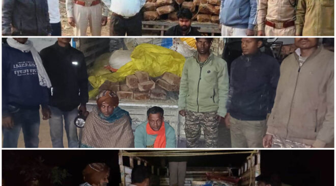 अवैध वनोपज परिवहन पर वन विभाग की कार्रवाई, साल एवं सागौन चिरान जब्त