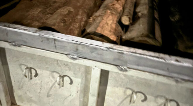 कोटा परिक्षेत्र में रात्रिकालीन गश्त में सागौन के लट्ठा जब्त