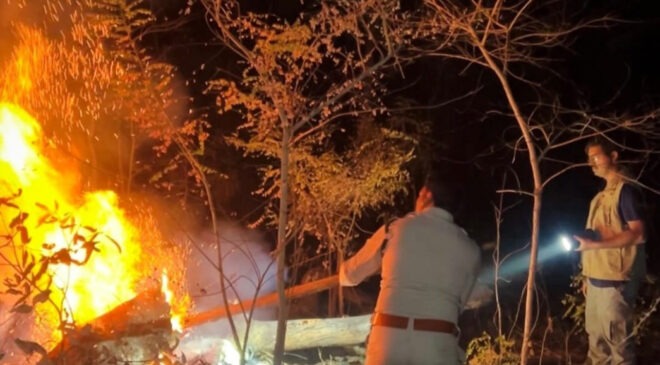होली के दिन भी वनों की सुरक्षा में जुटे रहे वनकर्मी, सोनाखान के जंगलों में लगी आग पर पाया काबू