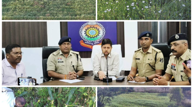 अवैध अफीम की खेती का भंडाफोड़, संयुक्त कार्रवाई में करोड़ों रुपये मूल्य के अफीम के पौधे जप्त