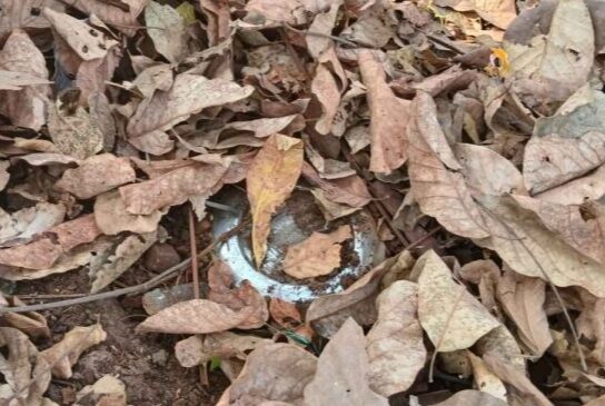 नक्सलियों की बड़ी साजिश नाकाम, सुरक्षाबलों ने 3 शक्तिशाली IED किए निष्क्रिय