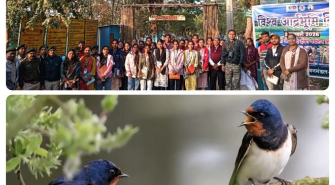 खैरागढ़ के ईको कैंप छिंदारी में ‘बर्डवॉक’ बना आकर्षण का केंद्र, प्रकृति प्रेमियों को मिल रहा अनूठा अनुभव, बढ़ रही संरक्षण के प्रति जागरूकता