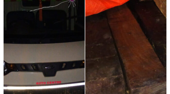 लकड़ी के अवैध परिवहन पर कार्रवाई, पिकअप वाहन जब्त, वन विकास निगम की गश्त से मिली सफलता